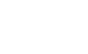 icon 217 south 300x187