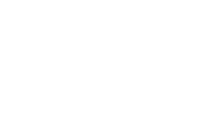 icon 305 daniel 300x187
