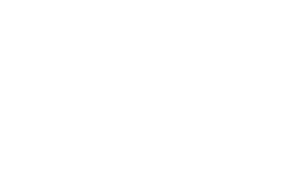 icon 507 second 300x187