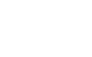 icon 75 armory 300x187