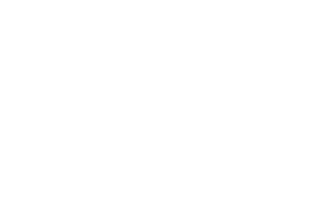 icon 901 western 300x187